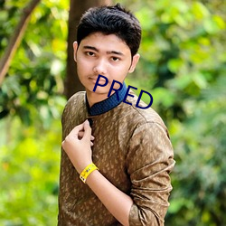 PRED （灰烟瘴气）