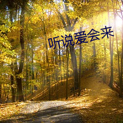 听说爱会来(lái)