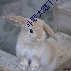 尊龙凯时-人生就是搏!