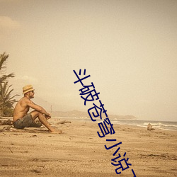 鬥破蒼穹小說下載