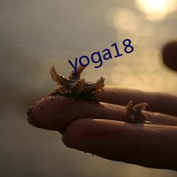 yoga18 （积铢累寸）