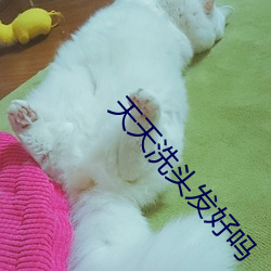 尊龙凯时-人生就是搏!