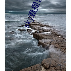 sky直播官網入口