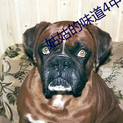 姑姑的味道(dào)4中午字(zì)