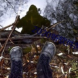 2020新(新)软件附(附)近约约