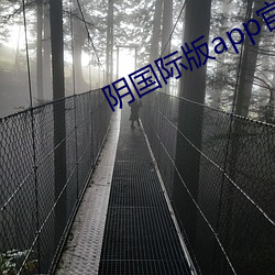阴国际版app官网下载