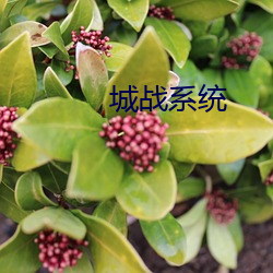 城战系统(tǒng)