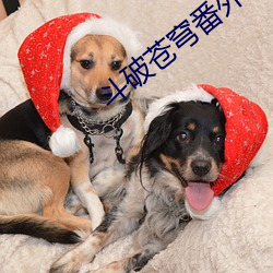 鬥破蒼穹番外篇