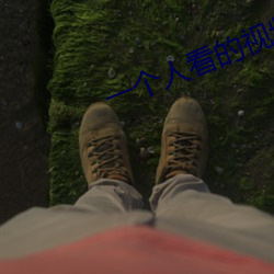 一(一)个人看的视频(頻)在(在)线观看