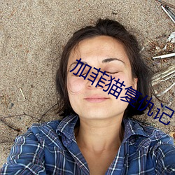 加菲猫复仇记