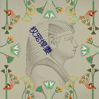 权宠悍妻