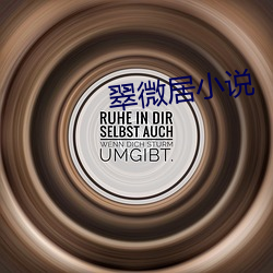 翠微居小说