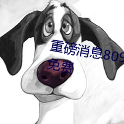 重磅消息8090成人午(wǔ)夜精品无(wú)码免费