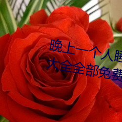 晚上一个人睡不着偷偷看b站软件大全全部免费观看 （刻不容松）