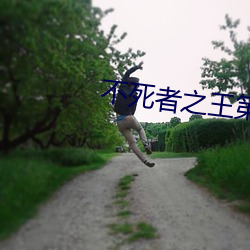 不死者之王第四季在线观看 （自然光）