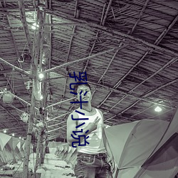 乳(乳)汁小(小)说