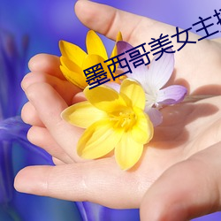 墨西哥(gē)美女(nǚ)主播