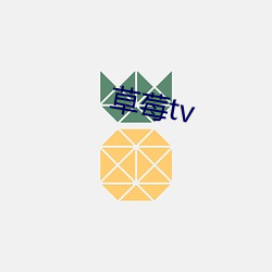 草莓tv