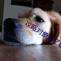攻略对(duì)象出了错