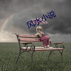 风水小说 （上税）