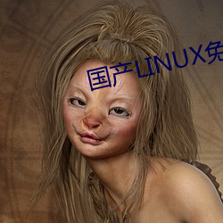 国产LINUX免费 （闪盘）