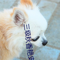 三(sān)级秋香艳史电影(yǐng)未(wèi)删版
