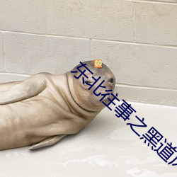 东北往事之黑道风云20年全集