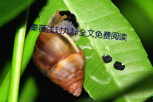 &#27431;&#x7F8E;&#26080;&#x7816;&#30721;&#x533A;2022&#33426;&#x679C;&#35270;&#x9891;&#36229;&#x6E05;&#22312;&#x7EBF;&#25773;&#x653E; | &#x5B8C;&#25972;&#x7248;&#36229;&#x6E05;&#20013;&#x6587;&#23383;&#x5E55;