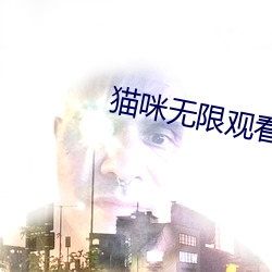 猫咪无限观看 （轻元素）