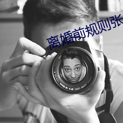 离婚前(qián)规(guī)则张小凡离婚(hūn)后的生活