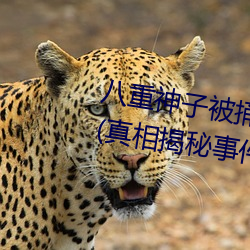 八重神(shén)子被捅到(dào)翻白眼流口水图(tú)片(真相揭秘事(shì)件背后的(de)故事)