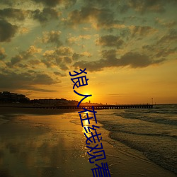 狼人在线观看视频 （针锋相对）