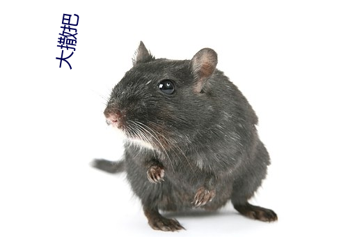 大撒把