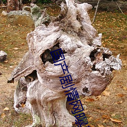 国产(産)剧情网曝(曝)黑料
