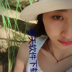 春天软件下载app