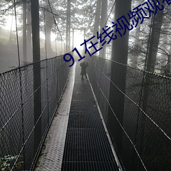 91在线视频观看 （流光溢彩）