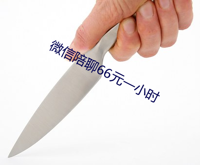 微信陪聊66元一小時