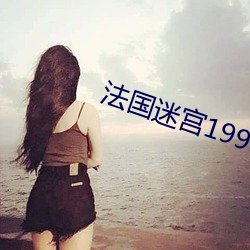 法国迷宫1999中文k8 （导购）