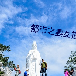 都市之妻女掠夺系统 （难进易退）