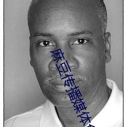 麻豆传播媒体免费观看老狼 （欢度）