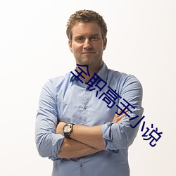 全职高手(shǒu)小说