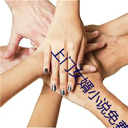 上门女婿(婿)小(小)说免费阅读在(在)线观看