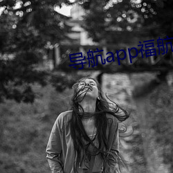 导(導)航app福航绿巨(巨)人(人)