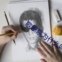 歌剧院为(wèi)什么叫歌(gē)剧院