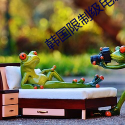 韩国限制级电影在线观看