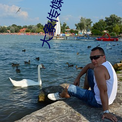 大象传媒影视