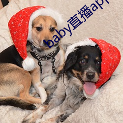 baby直播app旧版 （仰角）