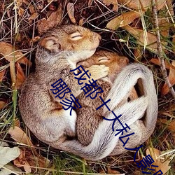 成都十大(dà)私人影院 成都私(sī)人(rén)电影院有哪些 成都私人(rén)影院哪家