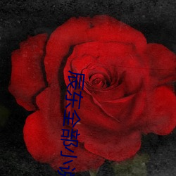 辰东全部小说
