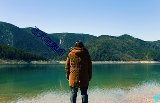 遮天笔趣阁 （石棉）